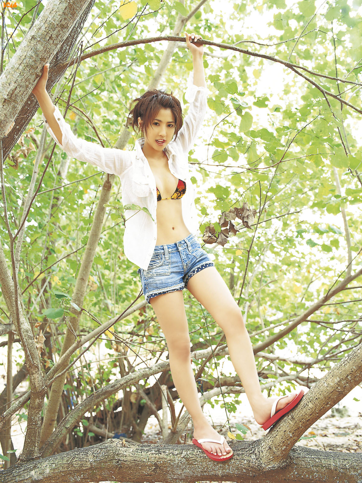 鹫巣あやの Ayano Washizu Bomb.tv 日本美女光盘写真 CD09